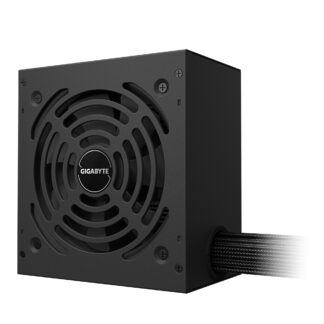 ATX 3.1 650W - 80+ GOLD - P650G PCIE 5.1